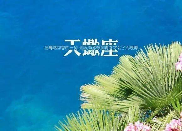 狮子座、天蝎座、水瓶座：深爱过，所以没有再联络……