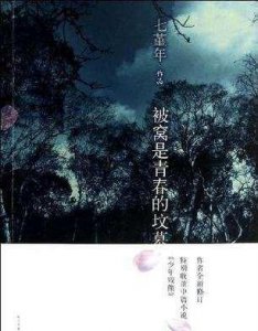 被窝为什么是青春的坟墓(被窝是青春的坟墓读后感)