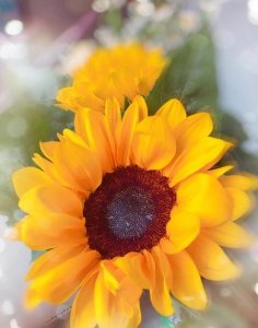 在对待父母的态度上我们应有的想法是(在对待父母的态度上,我们应有的想法是)