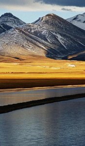 在职场中如何处理人际关系(怎样拍马屁讨好别人)