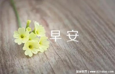 早安幽默短句 励志早安问候文案