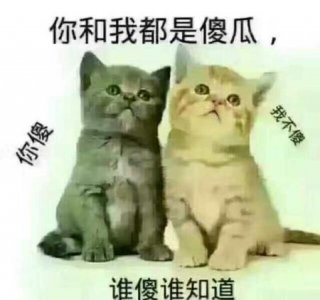 从不用洗发水洗头发会怎么样?(头发不用洗发水洗反而更好了)