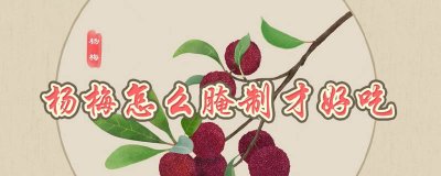 杨梅怎么腌制才好吃又简单 腌杨梅怎么做好吃