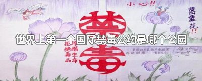 世界上第一个国际禁毒公约是哪个公园