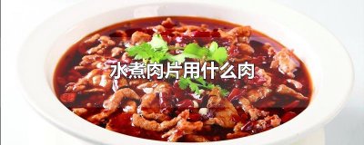 水煮肉片用什么肉