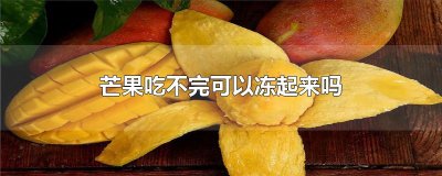芒果吃不完可以冻起来吗