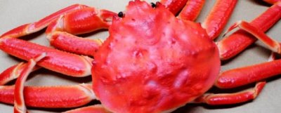 新鲜螃蟹怎样保存