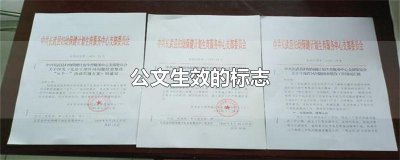 公文生效的标志