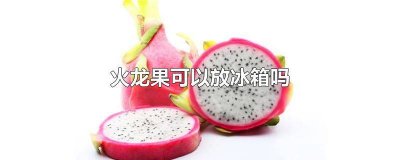 红心火龙果能放冰箱保鲜吗 红心火龙果放在冰箱