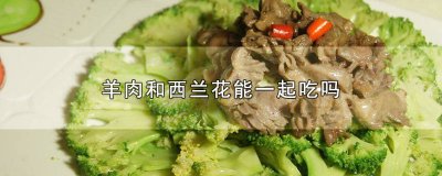 羊肉能与西兰花一起吃吗 西兰花跟羊肉能一起吃吗
