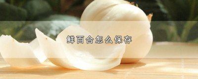 新鲜百合如何保存时间长 新鲜的百合怎么保存时间长