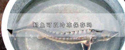 鲟可以放冷藏吗 鲟可以放冰箱冷冻吗