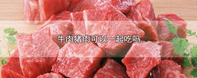 猪肉牛肉能一起吃吗 牛肉可以和猪肉一起吃吗