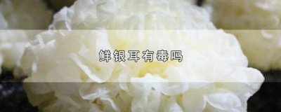 超市卖的鲜银耳有毒吗 市面上的鲜银耳有毒吗