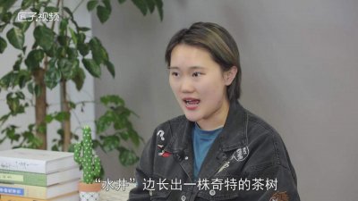 白芽奇兰茶的功效与作用 高山白芽奇兰是什么茶