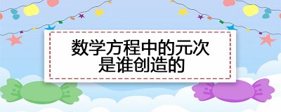 数学方程中的元次是谁创造的