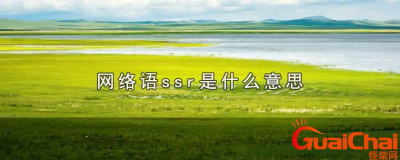 网络语ssr的意思是什么?网络语ssr是什么梗?