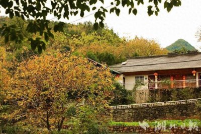 鹤峰新庄秋色斑斓