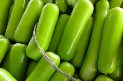 瓠瓜怎么读?瓠瓜的读音和意思!