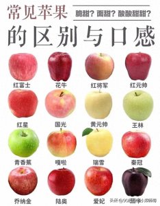 苹果知多少,今天就分享苹果的常见种类和口感