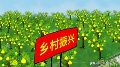 乡村振兴如何促进农村发展的5个建议