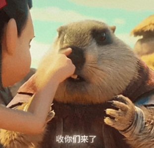 台湾跟香港和澳门完全不同,是一个省而不是特别行政区