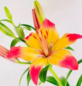 解析"活在当下,珍惜眼前″的十"金句″,领悟了,你一定活得自在