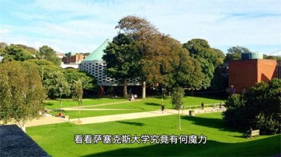 萨塞克斯大学——创新与多元文化的交汇点