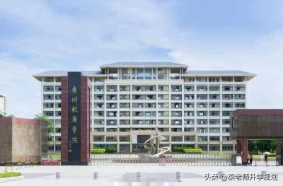 广州航海学院2024年在河南省分专业录取分数