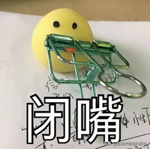 表情包:好了,我闭嘴