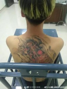 背纹鲤鱼想“跳龙门”却跳进牢房 网友:漏网之鱼