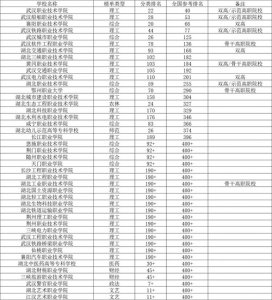 2023年湖北高职院校排行:武职第1、武汉船院第2、襄阳职院第3