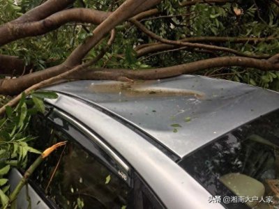 17年亲身经历的台风